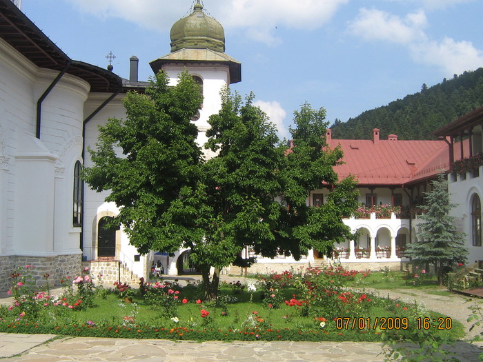 IMG_1510 - ROMANIA PAMANT SFANT