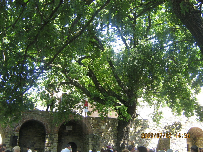 IMG_1530 - ROMANIA PAMANT SFANT