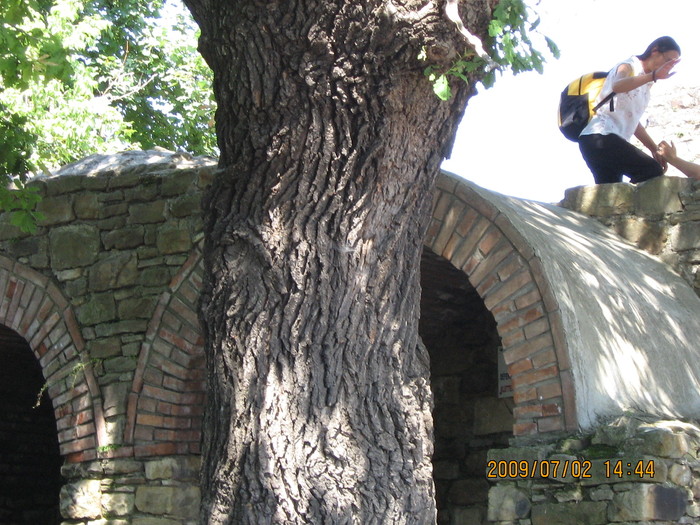 IMG_1538 - ROMANIA PAMANT SFANT