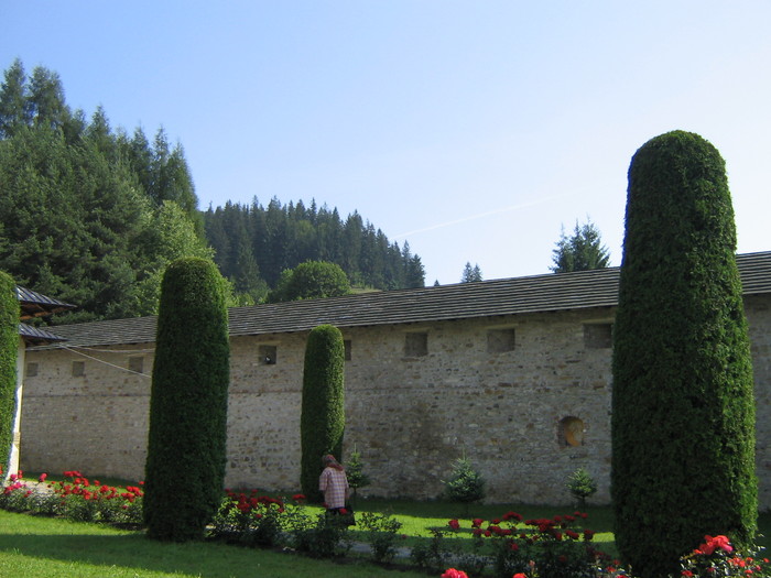 IMG_1591 - ROMANIA PAMANT SFANT
