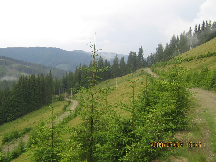 IMG_1709 - ROMANIA PAMANT SFANT