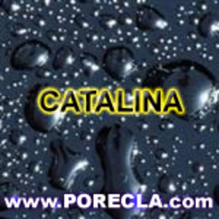 CATALINA avatar abstract
