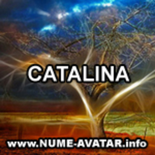 CATALINA avatare dimensiuni mari cu nume
