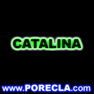 CATALINA Copy of bun