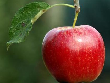 merele` - Fructul preferat -alege