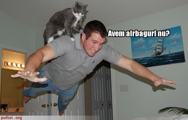 poze-amuzante-pisica-cu-airbag - Animale haioase