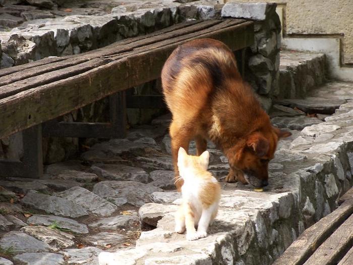 la Bojdeuca lui Ion Creanga
