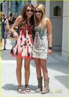 imagesCAIJVJ6F - ashley