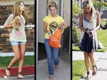 imagesCAJCI4BR - ashley