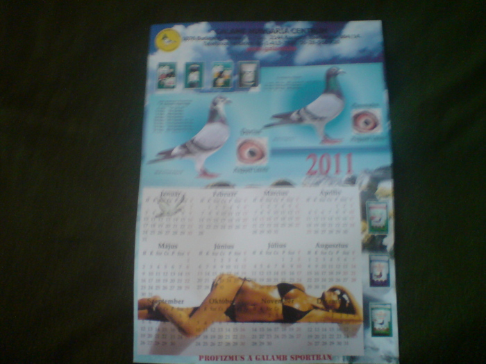 DSC03017 - Calendare 2011