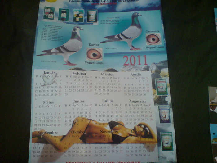 DSC03018 - Calendare 2011