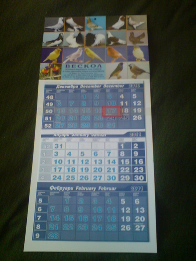 DSC03019 - Calendare 2011
