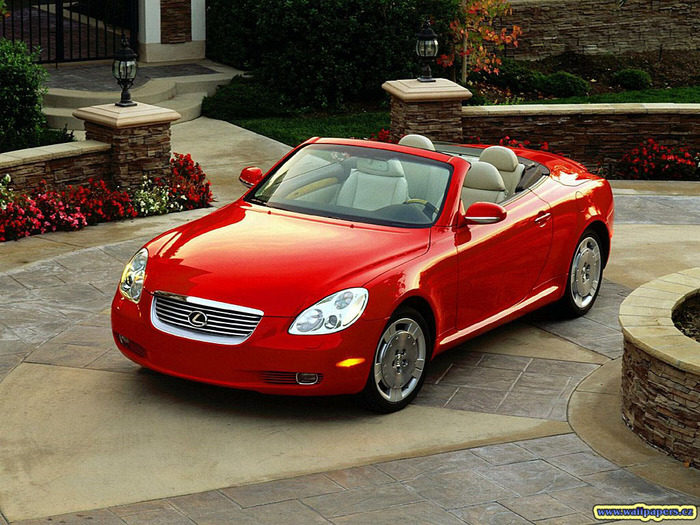 Cars (39)
