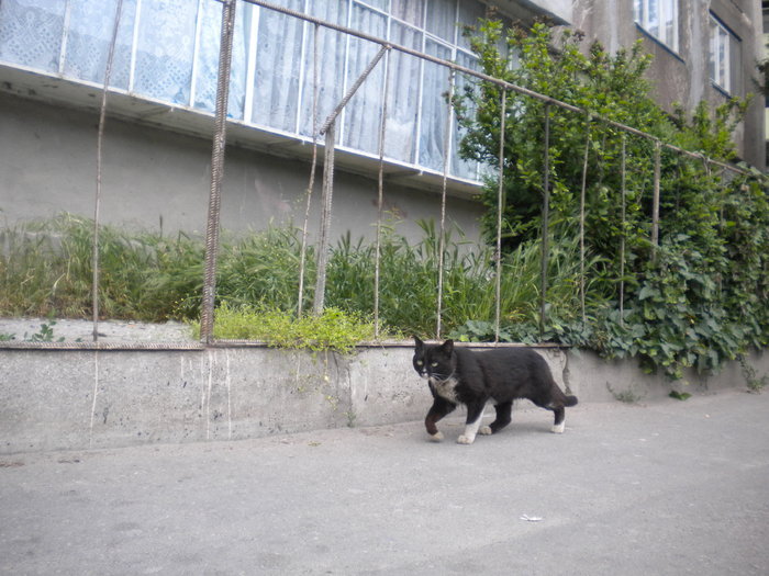 ma plimb si eu - pasagere