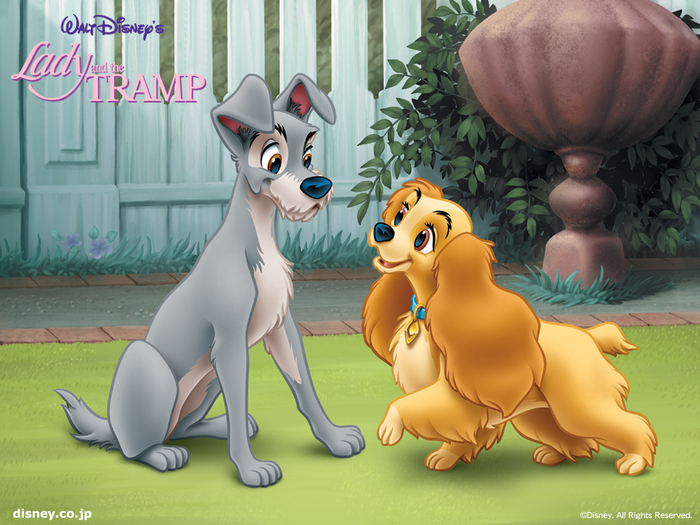 Lady and the tramp (6)