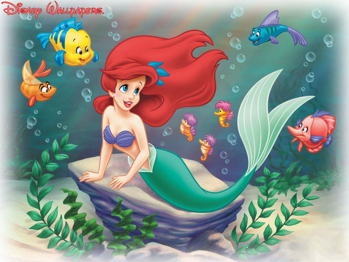 Little Mermaid (6)