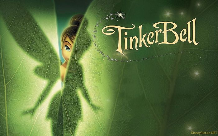 TinkerBell (13)