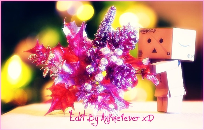 xmas_in_dan_bokeh_by_magggg-d34qg1j - xx Danbo Robo Box sau Cutiutaaa xx