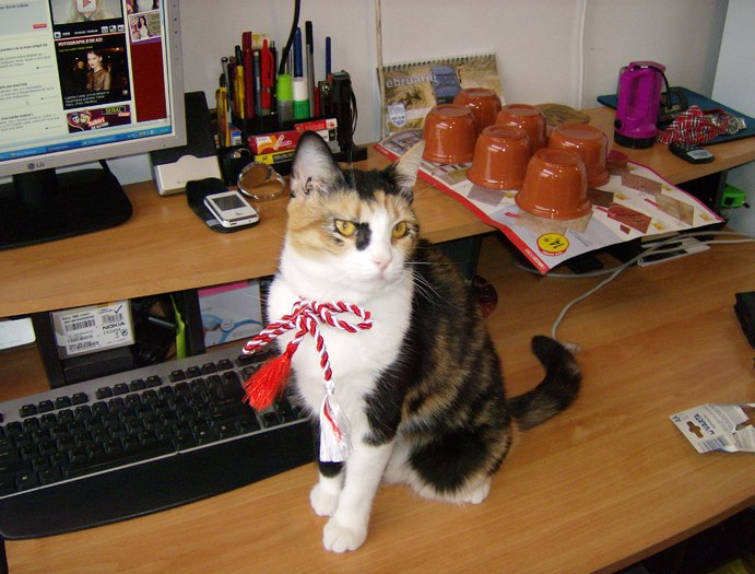 a (64) - Cea mai scumpica floare