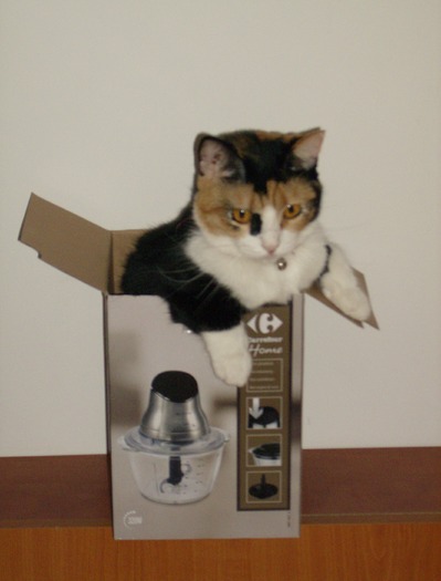 a (69) - Cea mai scumpica floare