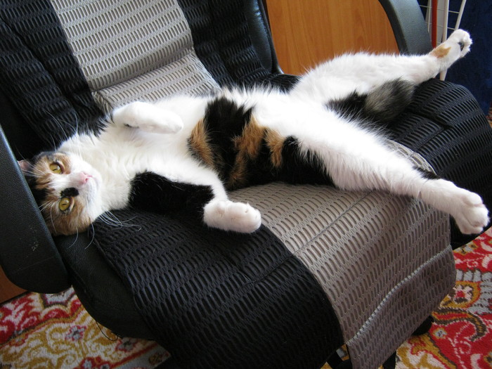 a (85) - Cea mai scumpica floare