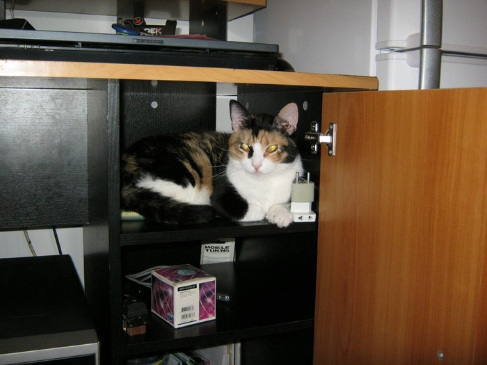 a (108) - Cea mai scumpica floare