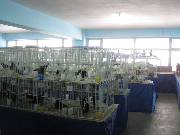 foto de ieri 17 dec 2010