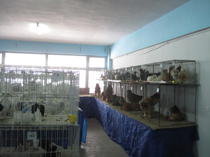 foto de ieri 17 dec 2010