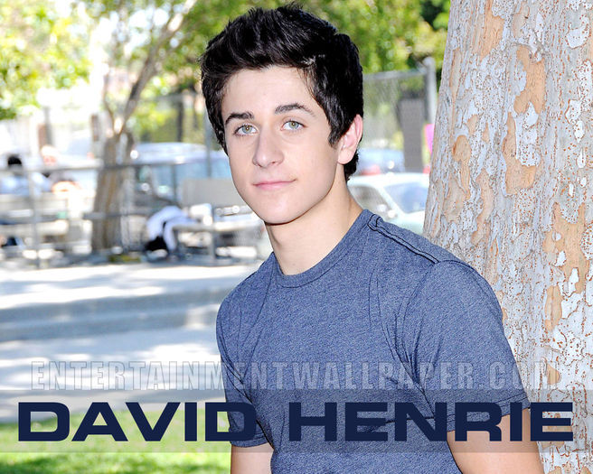 David Henrie (34)