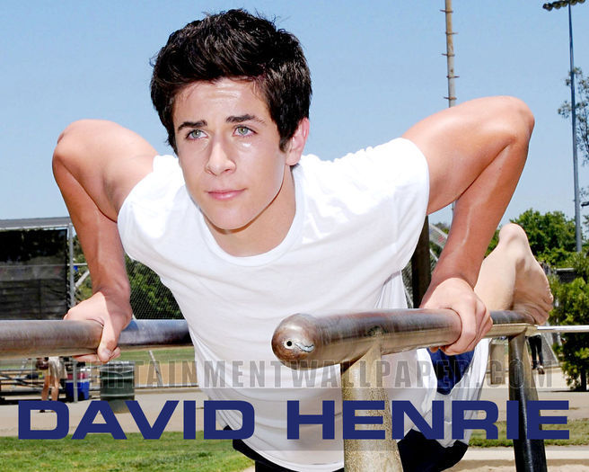 David Henrie (35)