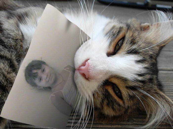 eu in brate la o pisica