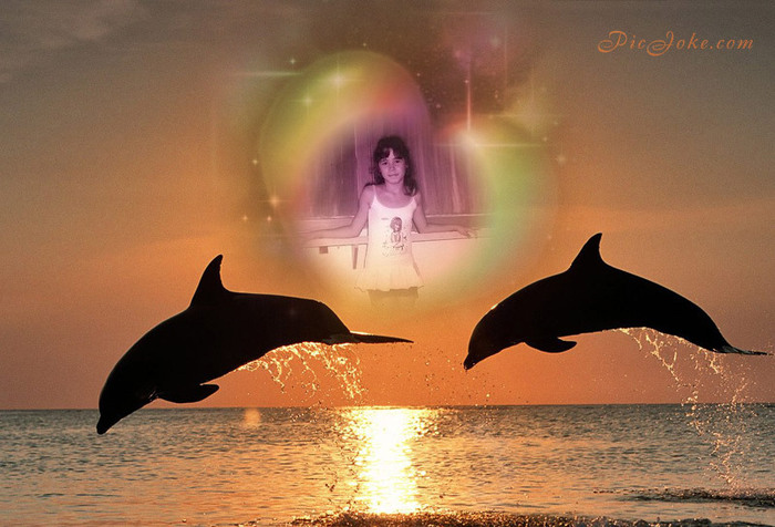 eu intre delfini - poze cu mine