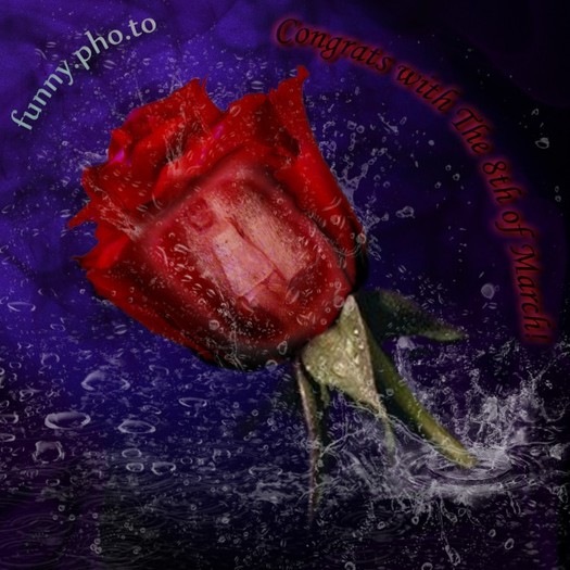 eu pe trandafir - poze cu mine