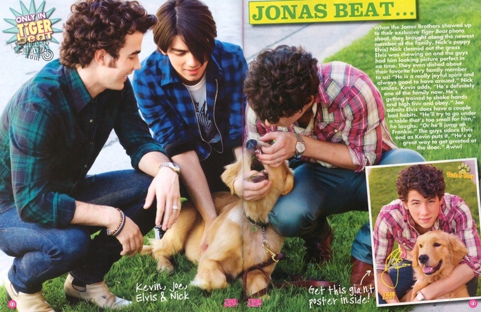 Tiger Beat magazine (18) - Tiger Beat Magazine