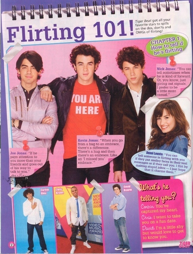 Tiger Beat magazine (24)