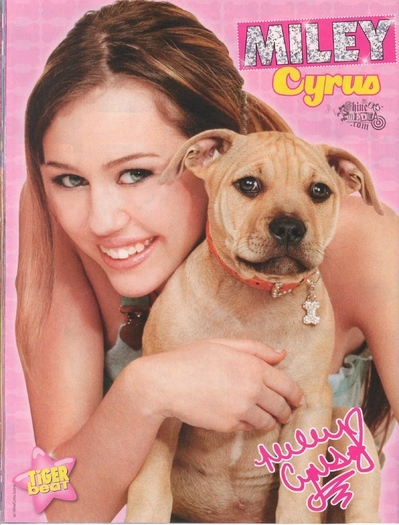 Tiger Beat magazine (41)