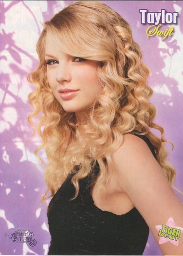 Tiger Beat magazine (49)