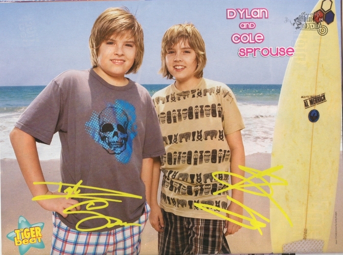 Tiger Beat magazine (51)
