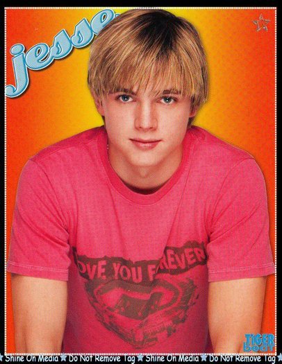 Tiger Beat magazine (55)