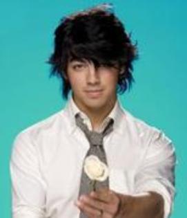 17489537_QSFGRSCOO - joe jonas