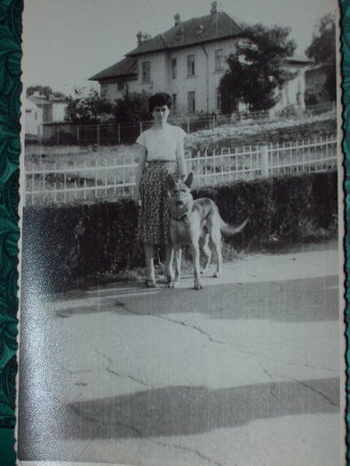 amintiri (91) - pasiuni  amintirii