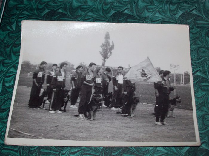 amintiri (97) - pasiuni  amintirii