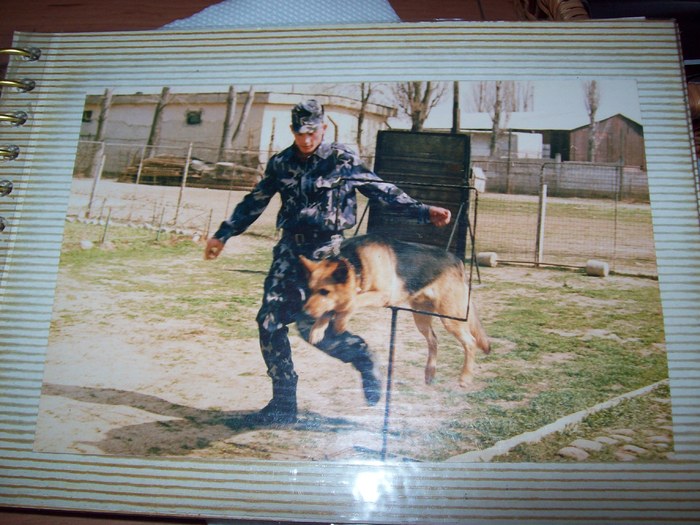 amintiri (131) - pasiuni  amintirii