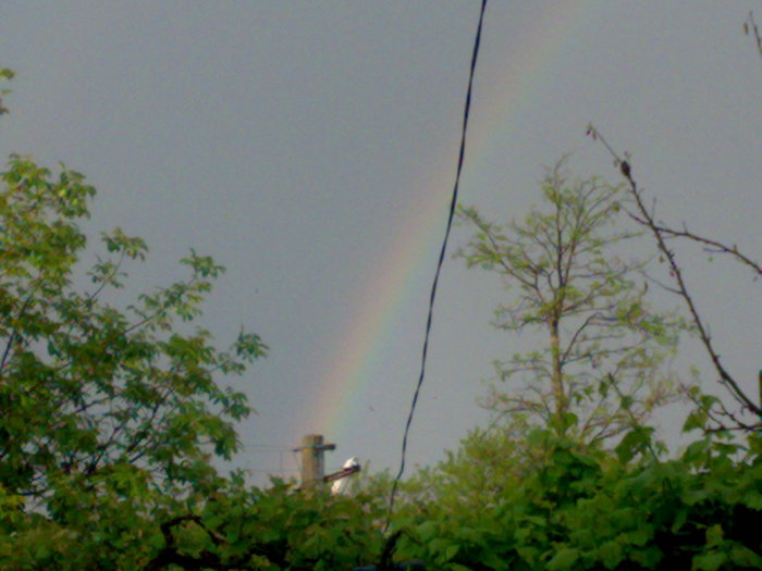 14052010016