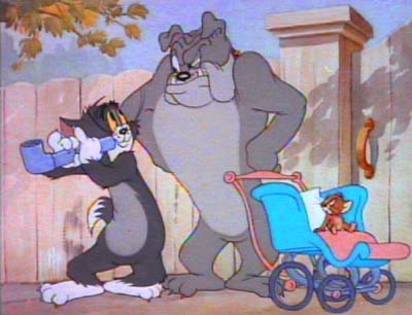 Tom and Jerry  (36)