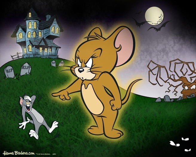 Tom and Jerry  (42)