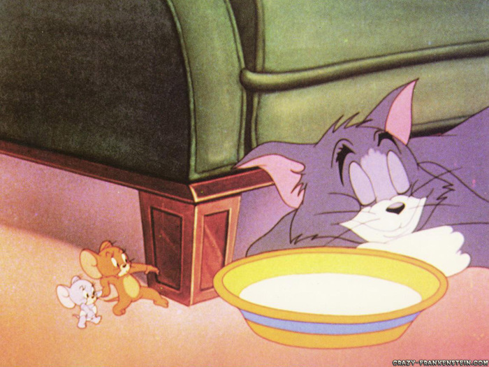 Tom and Jerry  (48)