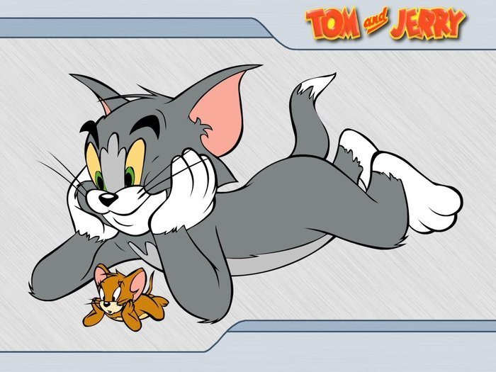 Tom and Jerry  (49)