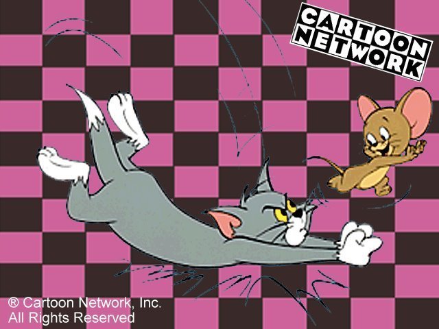 Tom and Jerry  (53)
