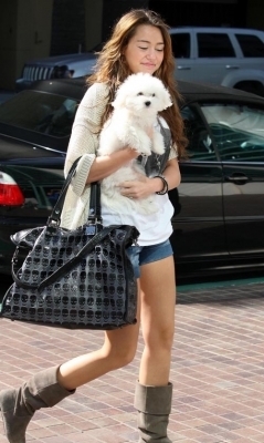 Miley (53)
